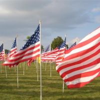 Field of Freedom, flags up close, Merriam, KS, Мерриам