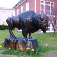 bronze buffalo, Stockton, KS, Нортон