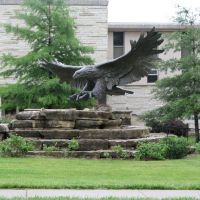 Eagle, Washburn University, Topeka, Овербрук