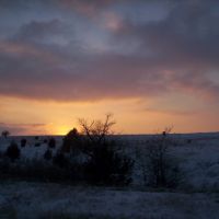 Winter Sunset, Палмер