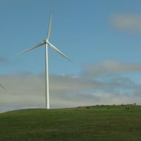 Modern Kansas Windmill, Палмер