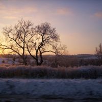 Cold Winter Sunset, Палмер