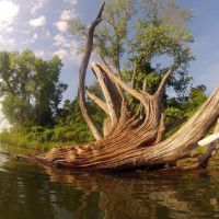 Drift Wood Crystal Lake Wichita, Парк-Сити