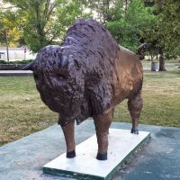 Bison Statue, Топика