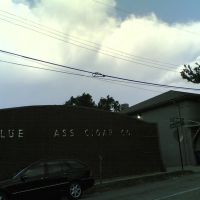 BLUE (GR)ASS CIGAR CO., Лексингтон