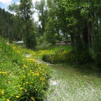 spring runoff through the long green grass, Айдахо-Спрингс