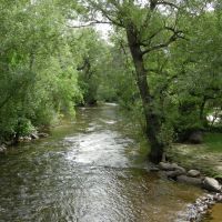 the creek in UC, Аурора