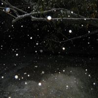 First snow of the season. October 2009., Аурора