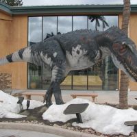 Dinosaur Resource Center, Вудленд-Парк