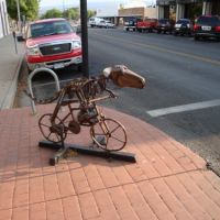 Raptor on a Bike in Downtown Grand Junction, Гранд-Джанкшин