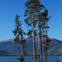 Lodgepole Pines at Lake Dillon, Диллон