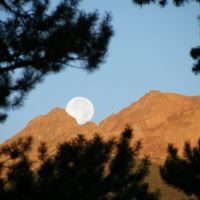 Moon over Red Peak, Диллон