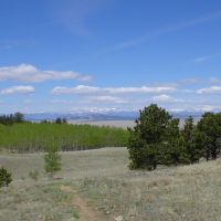 Meadow & aspen grove - view to west, Крайг