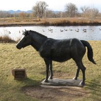 Horse Statue in Hudson Gardens, Литтлетон
