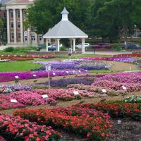 Annual Flower Trial Garden, Colorado State University, Fort Collins, Larimer County, Colorado, Форт-Коллинс