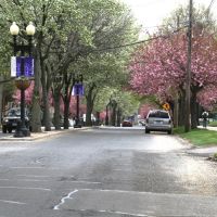 Park Ave near University Ave, Бриджпорт