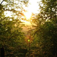 Sun setting through trees from Mattabesett Trail at N end of Lamentation Mtn. - May 24 2010, Валлингфорд