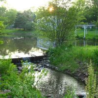 Dam on Sawmill Brook from Atkins St., Middletown - May 14 2010, Вест-Хартфорд
