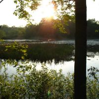 View from E side of Highland Pond - May 14 2010, Вестпорт