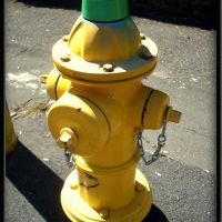 Fire Hydrant, Данбури