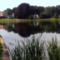 Longbrook Park Pond, Стратфорд