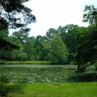 Pond at Cohn Arboretum, Бейкер