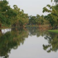Reflections in Pond off Ouachita River, Джексон