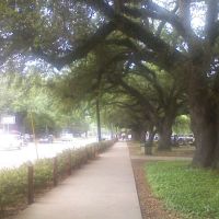 University of Louisiana, Lafayette; St Mary Street, Лафайетт