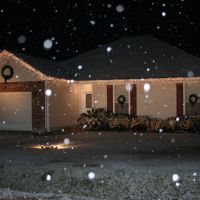Snow in Hammond!, Олбани