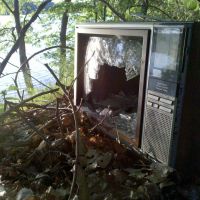 Broken TV in the woods, Арлингтон