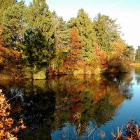 Shoe Pond, Beverly in Autumn, Беверли