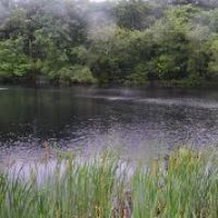Pond @ Monotomy Rocks Park, Белмонт