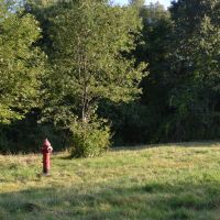 Wheres the Fire (hydrant in a field)?, Белмонт