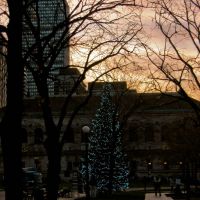 Copley Square Christmas Tree, Boston Public Library and Prudential Building, Бостон