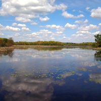 Milford Pond/Cedar Swamp, Боурн