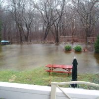 my flooded back yard(swamp land), Броктон