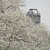 Spring at BU (telescope tower), Бруклин