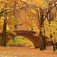 Bostons Emerald Necklace turns Golden in autumn., Бруклин