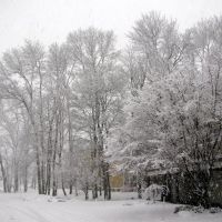 Η γειτονια μου χιονισμενη..!! My snowy neighborhood..!!, Данверс