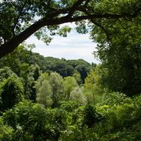 Nature Scenery of Forest Park, Springfield, Massachusetts, Ист-Лонгмидоу