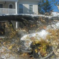 Tree fallen on truck during October Storm (Alfred), Springfield, Massachusetts, Ист-Лонгмидоу