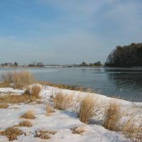 Snowy Marsh in Quincy MA, Куинси