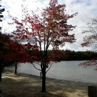 Walden Pond, Ma, Линнфилд