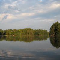 Field Pond Reflections, Линнфилд
