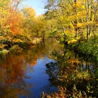 Autumn Stream, Линнфилд