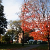 Tufts campus in autumn, Медфорд