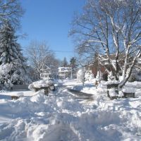 Medford, noreaster 2011, what a mess!, Медфорд