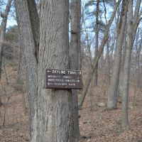Middlesex Fells Reservation, Медфорд