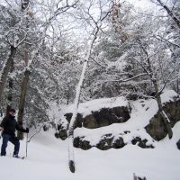 Middlesex Fells in Winter, Медфорд