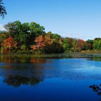 Louisa Lake (Autumn), Ревер